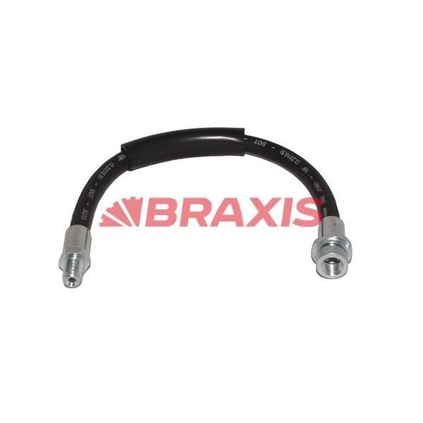 Arka Fren Hortumu (300Mm) Bmw E60 E61 E64 E65 E66 E67 03>09 E30 82>91
