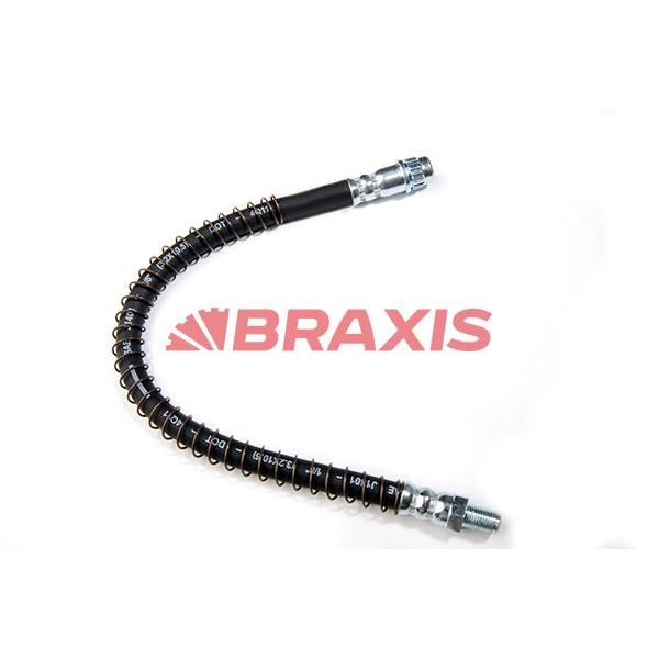 Arka Dış Fren Hortumu P607 00 10